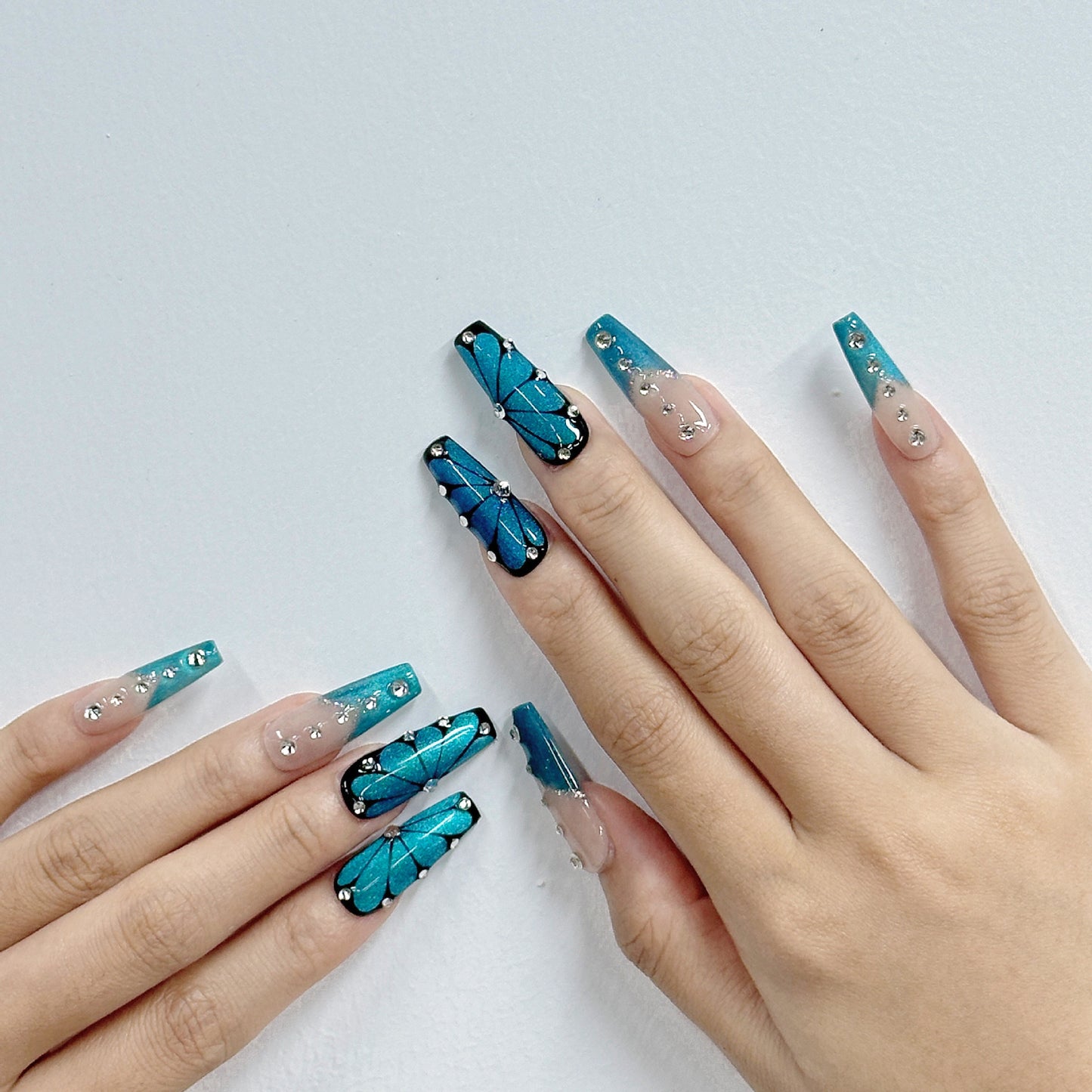 Sapphire-blue Reticulated Butterfly Wings
